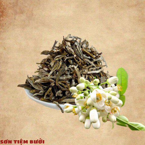 Trà Xanh Sơn Tiệm Ướp Hoa Bưởi Tà Xùa ( Sơn La )